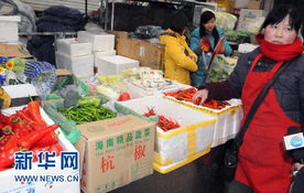 從海南到北京 蔬菜千里運(yùn)銷(xiāo)，一斤僅賺一毛四的農(nóng)產(chǎn)品生產(chǎn)鏈透視