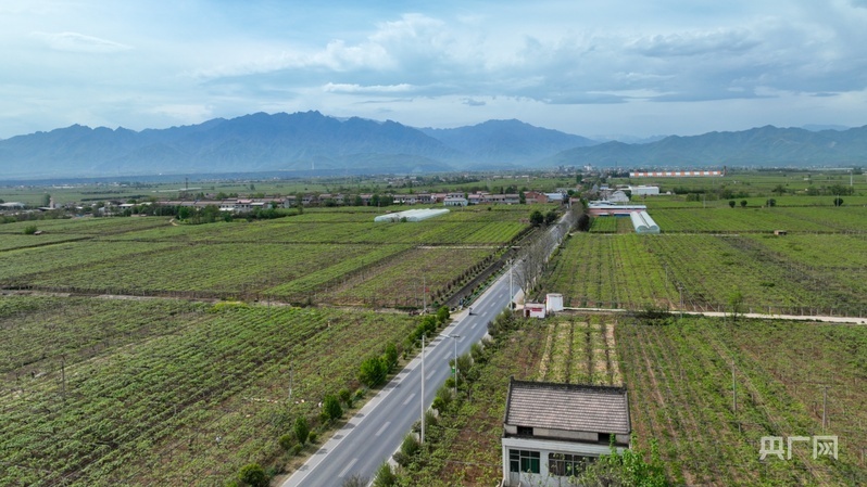 鄉(xiāng)路上，感受脈動(dòng)中國(guó)——美麗鄉(xiāng)路服務(wù)提質(zhì)，地標(biāo)鮮果助力振興